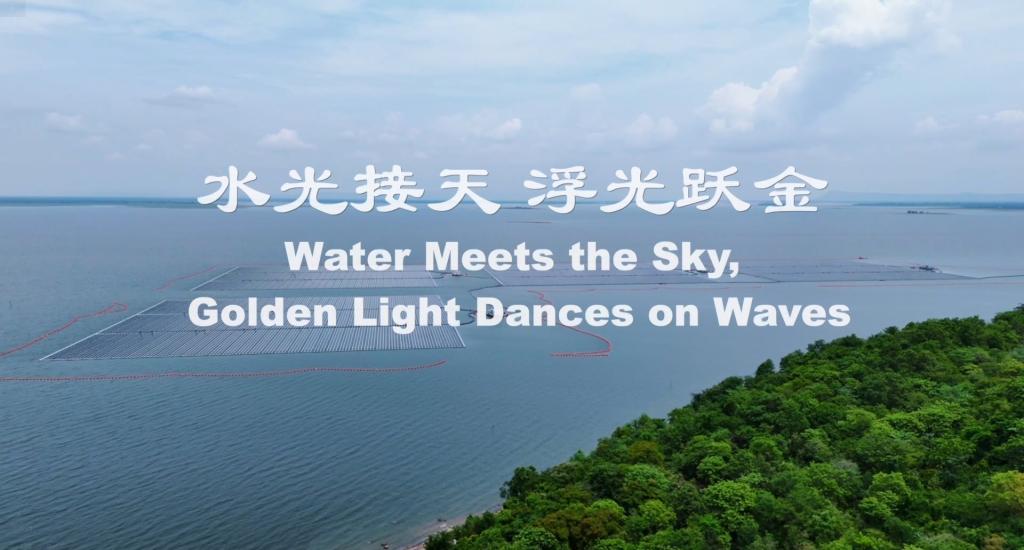尊龙凯时·[中国区]人生就是搏!